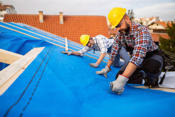 Best Roof Repair Services  in Waynesboro, VA