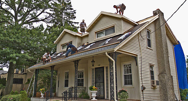 Best Roof Gutter Cleaning  in Waynesboro, VA